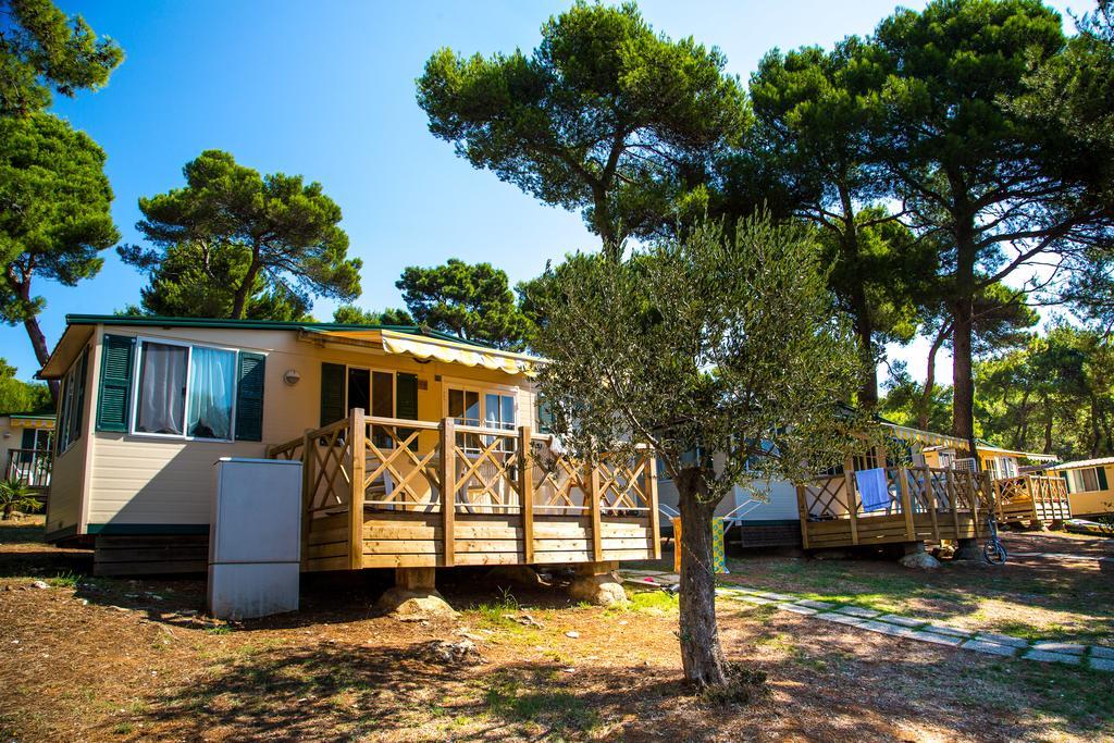 Arena Indije Mobile Homes بنجول المظهر الخارجي الصورة