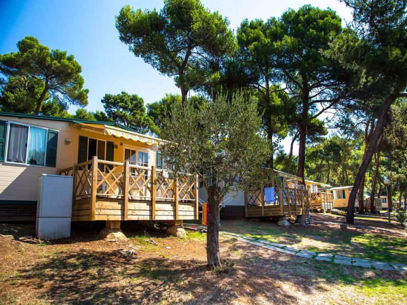 Arena Indije Mobile Homes بنجول المظهر الخارجي الصورة