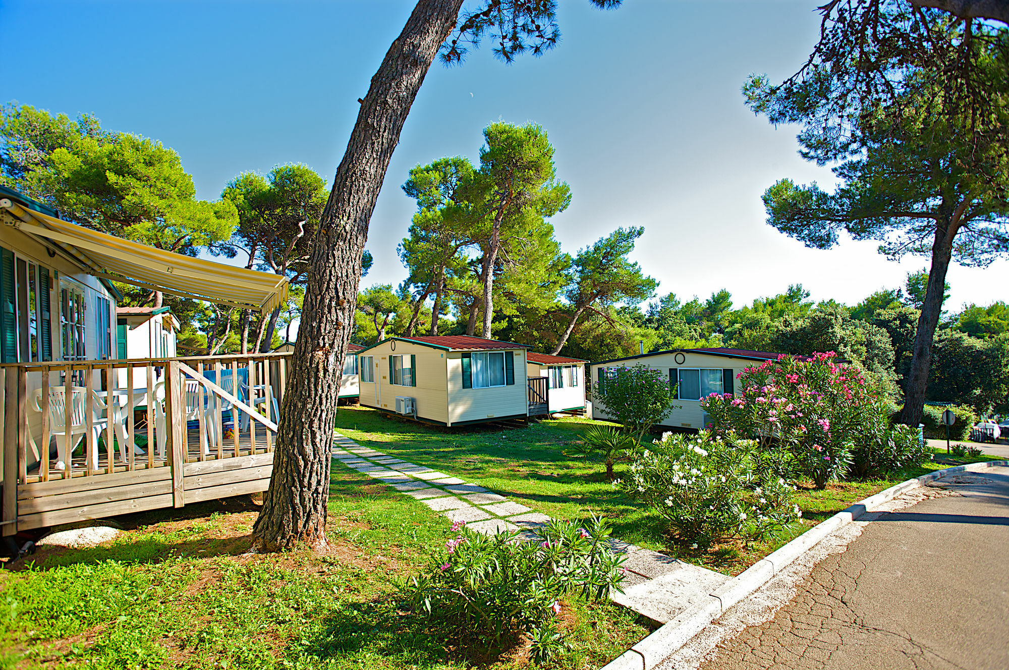 Arena Indije Mobile Homes بنجول المظهر الخارجي الصورة