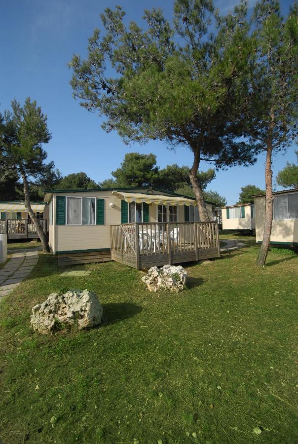 Arena Indije Mobile Homes بنجول المظهر الخارجي الصورة